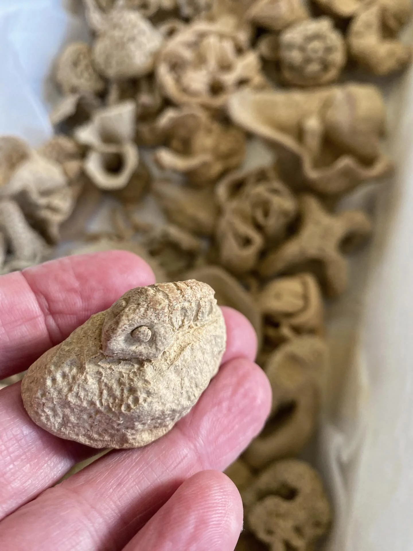 Sometimes bioreceptive detail can be figurative. 
Here we find two community made Artecology CoCreate artefacts depicting subject matter relating to the particular place in which they were made. 

This sort of detail works just the same as more abstr