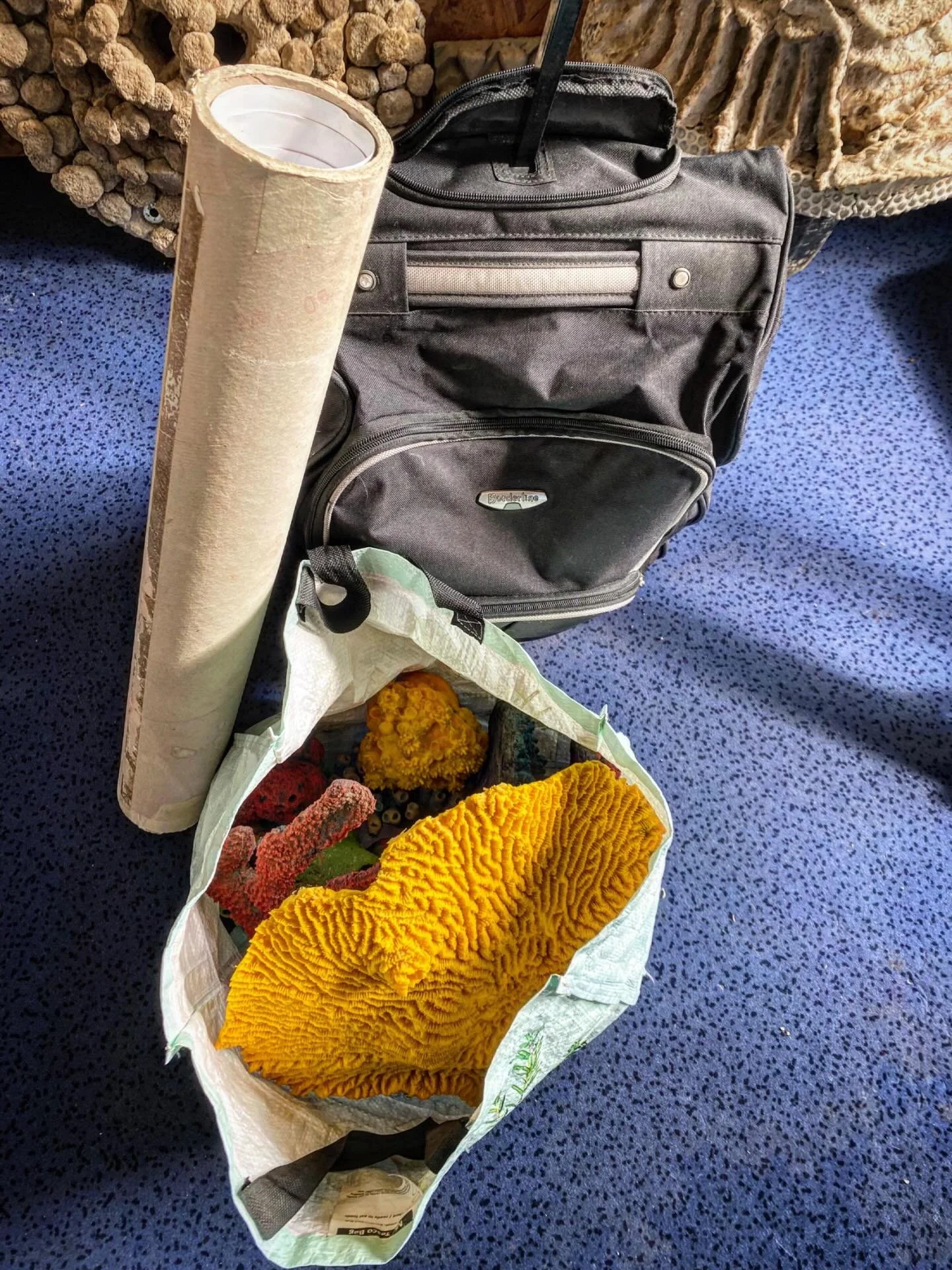 Bags packed and ready to hit the road. Slightly late to the @britishscienceassociation British Science Week. Then again, surely every week is science week, so we&rsquo;ll deliver a snappy show and tell with students at Gatten and Lake Primary School 