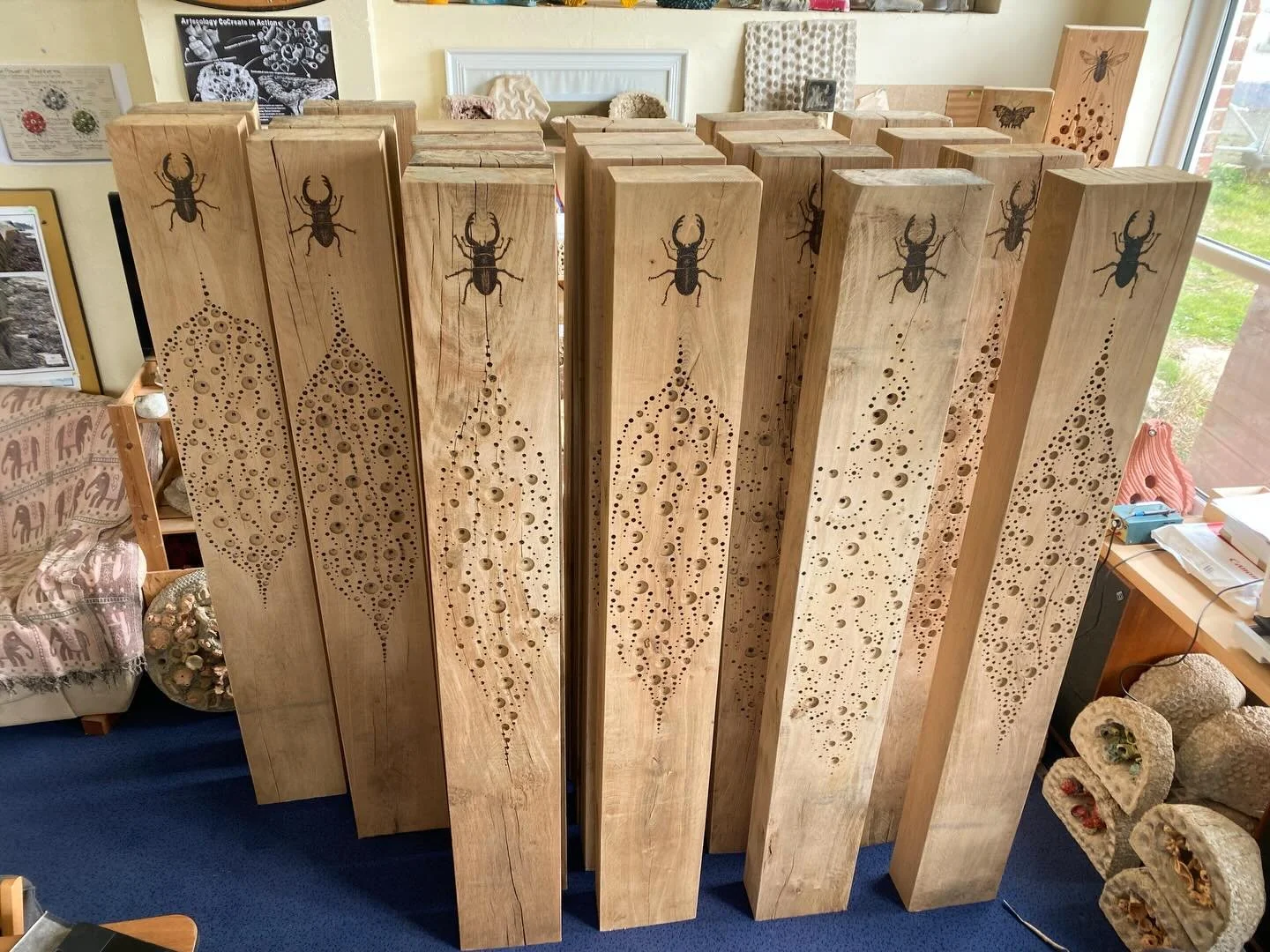 That&rsquo;s a lot of habitat!!