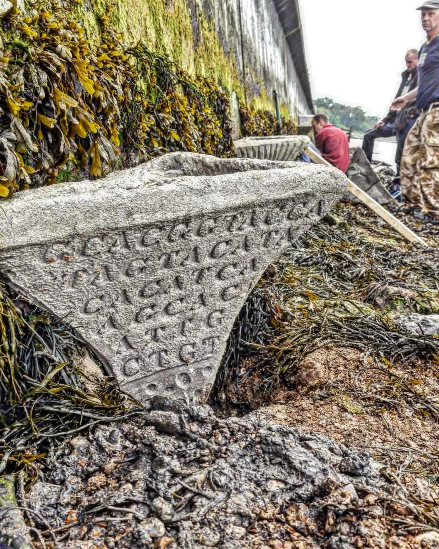 This Vertipool, one of five made in 2013, carries a DNA sequence that reads as biologically plausible but is not actually traceable to any organism in the Human genome or other databases. The code, physically printed into a bioreceptive concrete surf