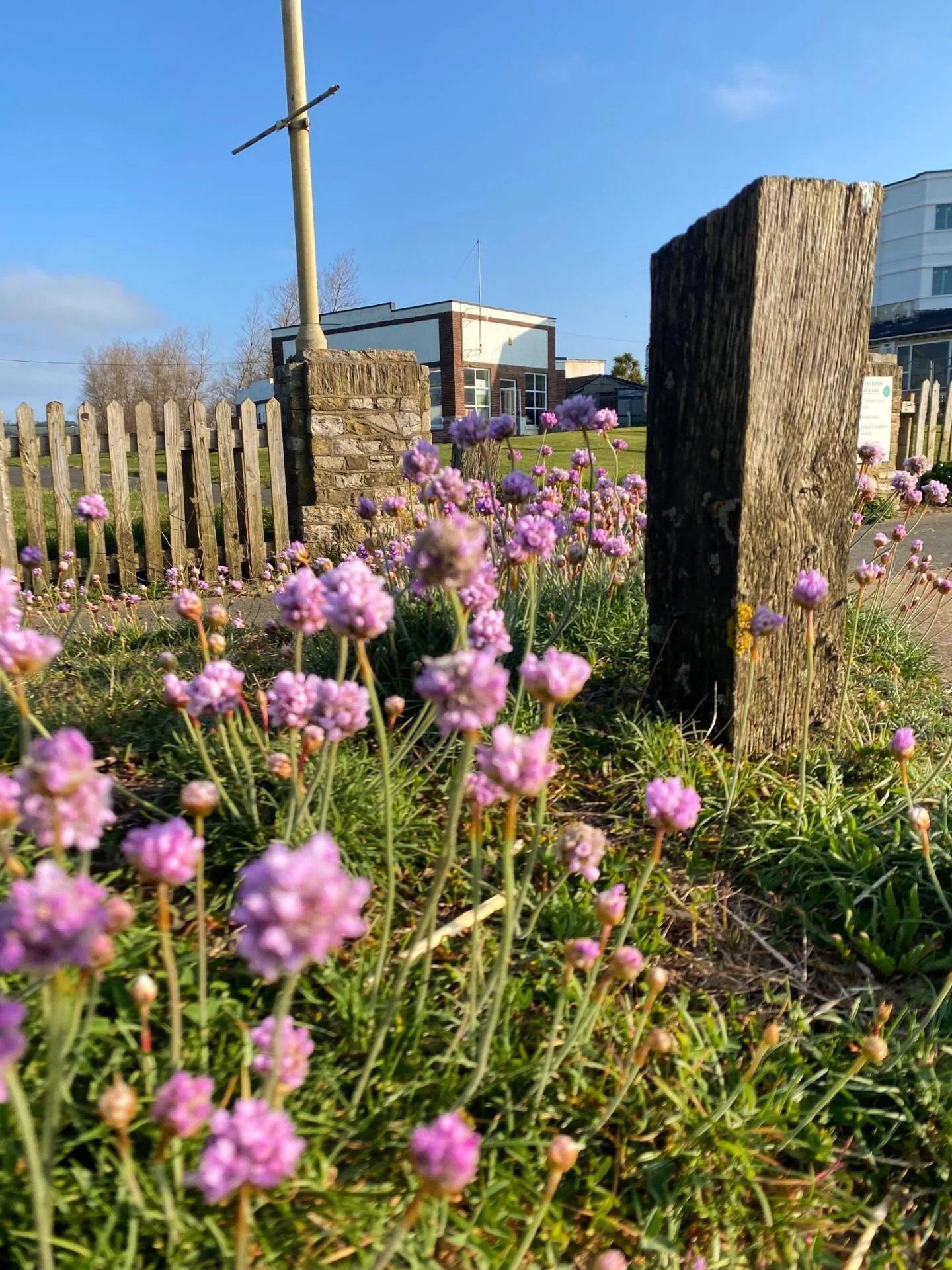 The Works. 
Culver Parade, Sandown Bay, in the UNESCO Isle of Wight Biosphere Reserve. 
#iwbiosphere #studio #artecology