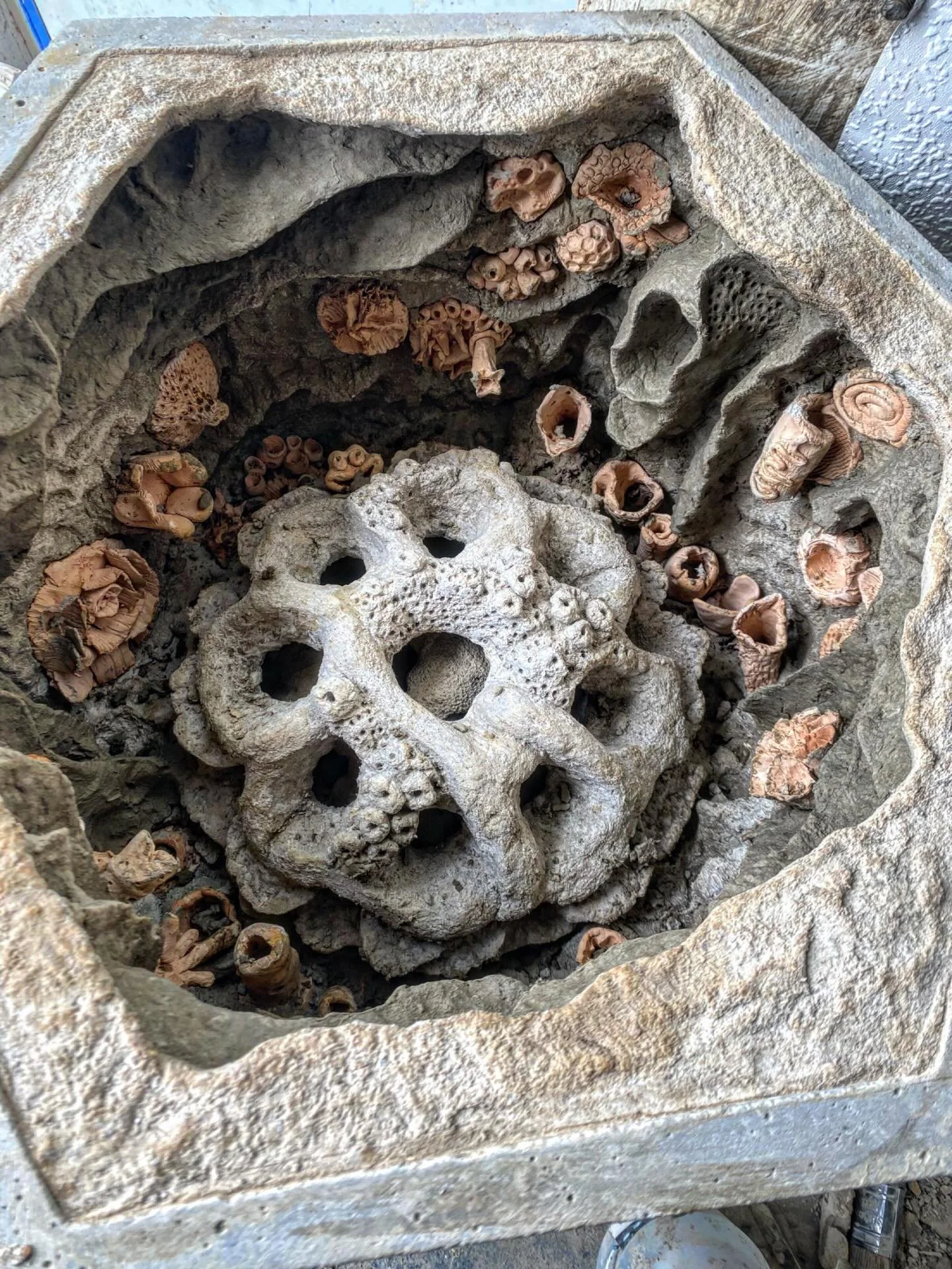 It&rsquo;s ecoengineering Jim, but not as we know it!