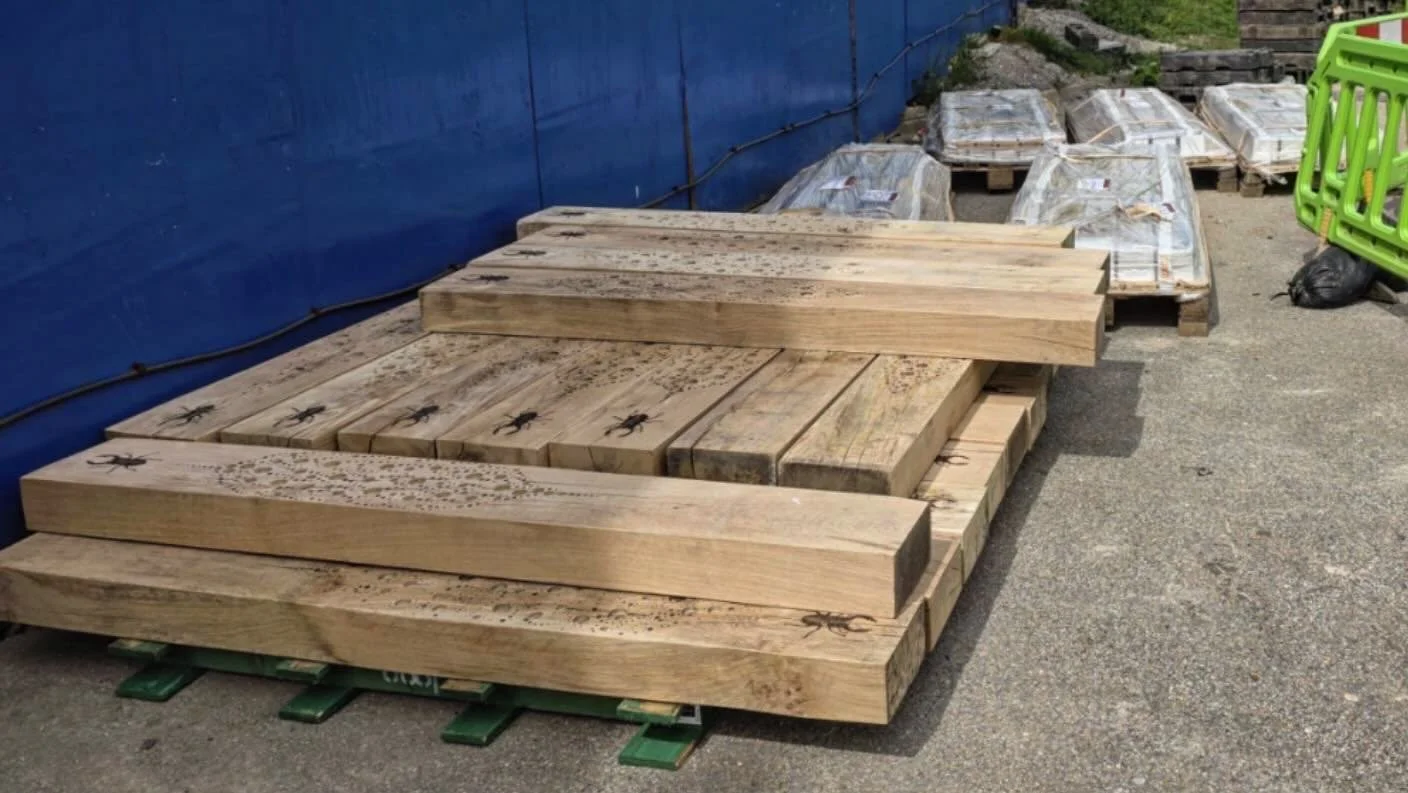 21 green oak BioTotems safely shipped from the Isle of Wight UNESCO Biosphere Reserve to a location in Portsmouth. More standing deadwood habitat destined for the public realm!👏🐝🐜🦋🪾🐞🦗🪲
Nice work Josh from JC Van Services!