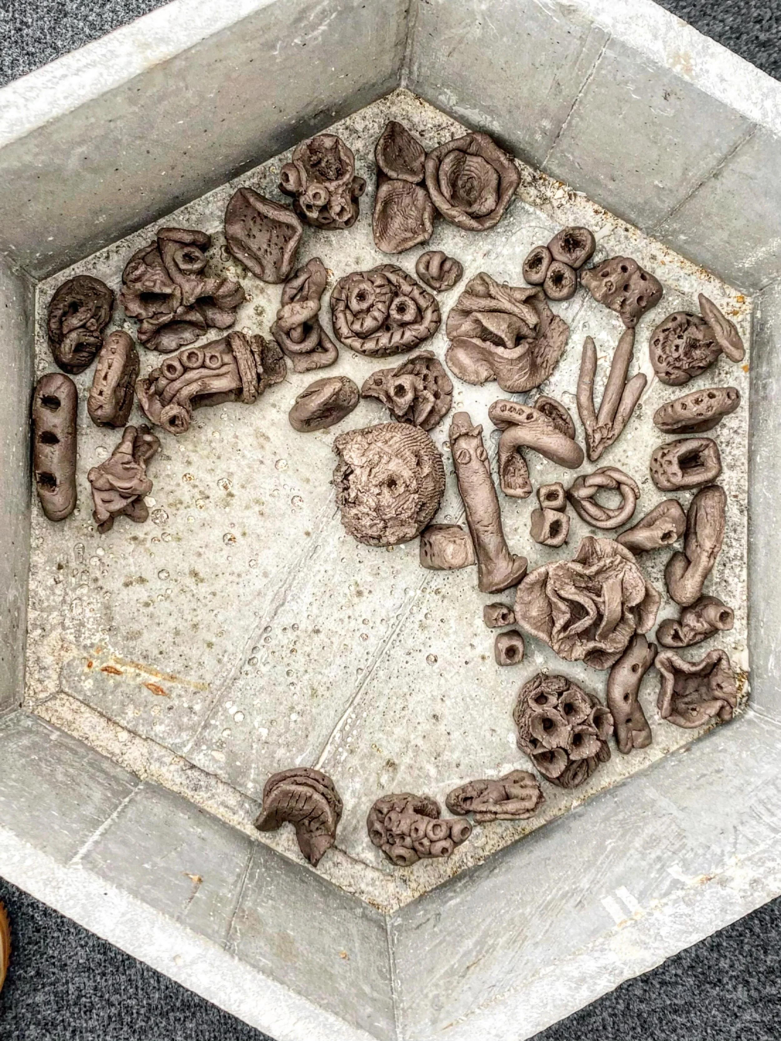A selection of the many grog clay bioreceptive artefacts made by attendees from last week&rsquo;s Habitat Harbours event in Portsmouth.
As participants made the clay artefacts we carefully placed them in this concrete SeaHive Pool blank (made by @cub