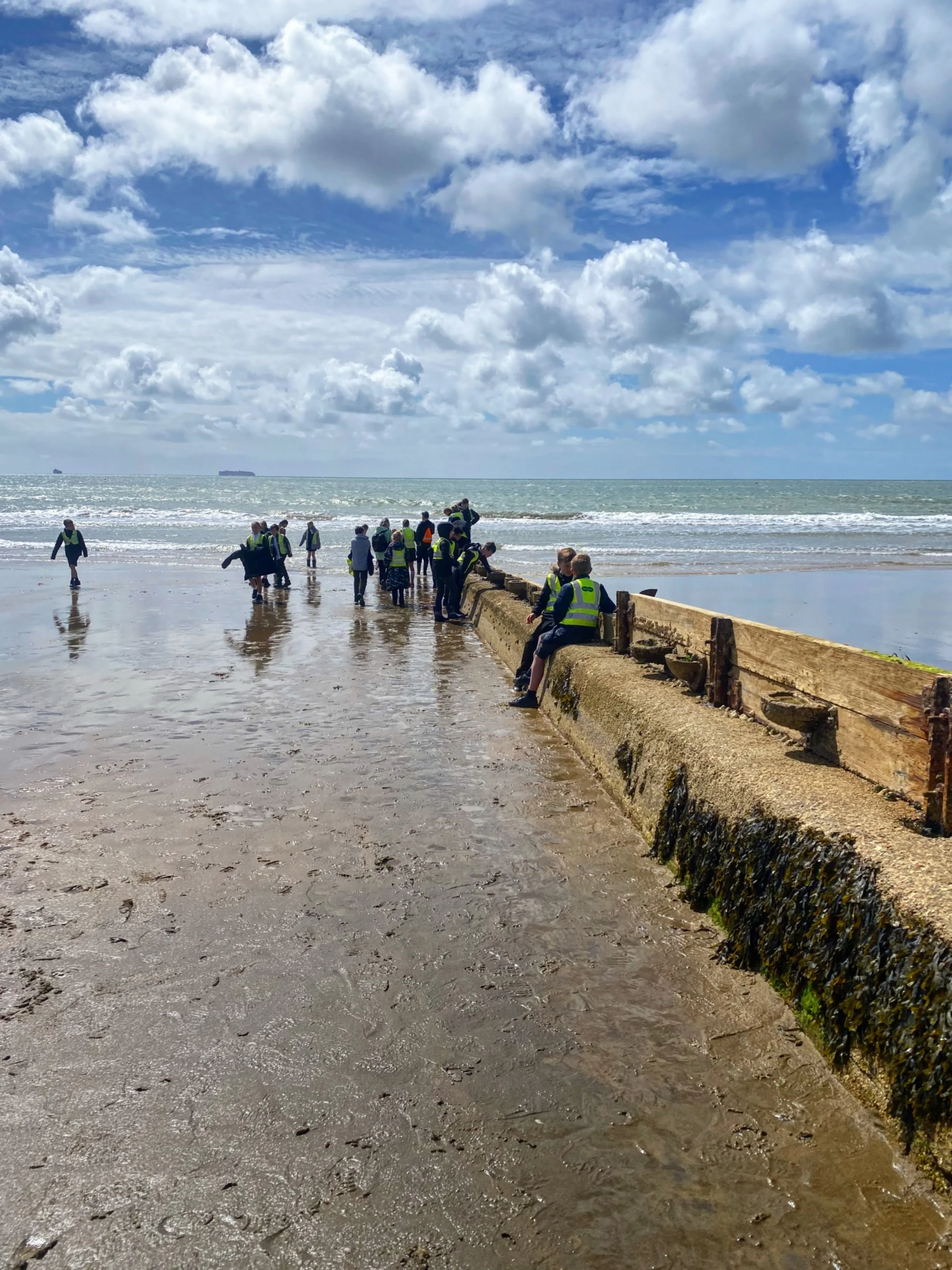 Science Beach, Sandown Bay, Isle of Wight.
A good place to learn about people, place, and nature.

#iwbiosphere #vertipool #ecoengineering #school #worldoceansday