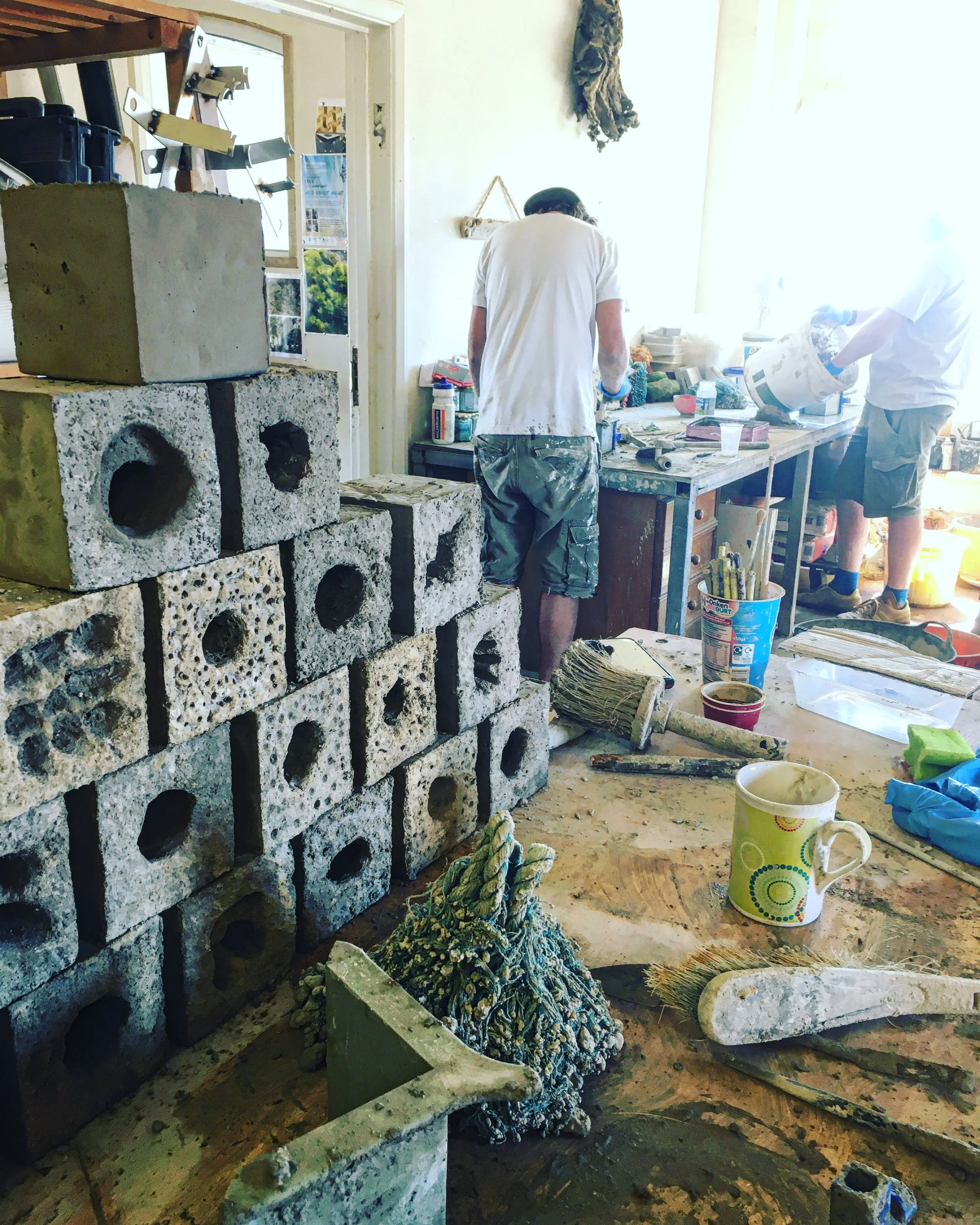 NatureBricks — Artecology