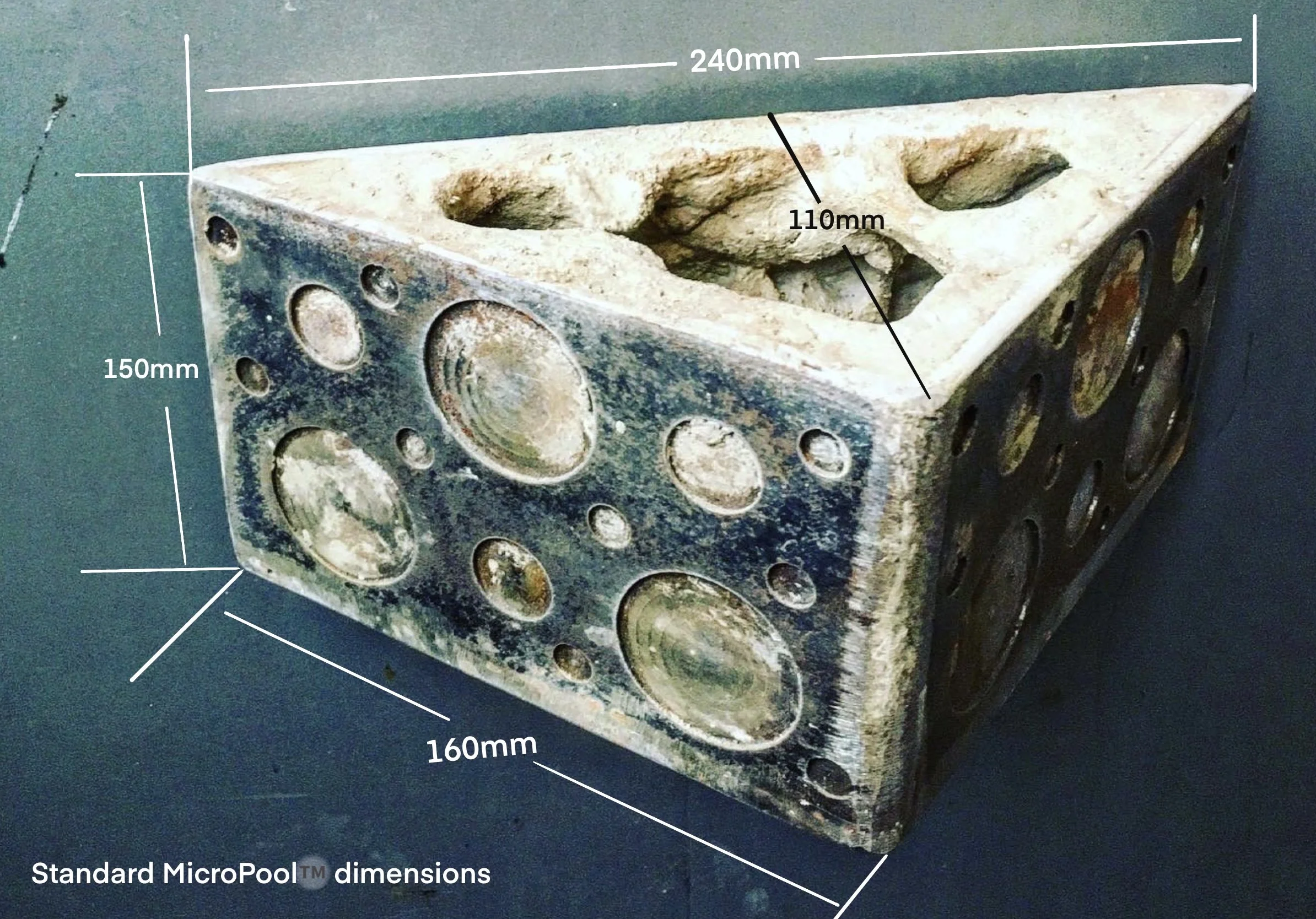 MicroPools β Artecology