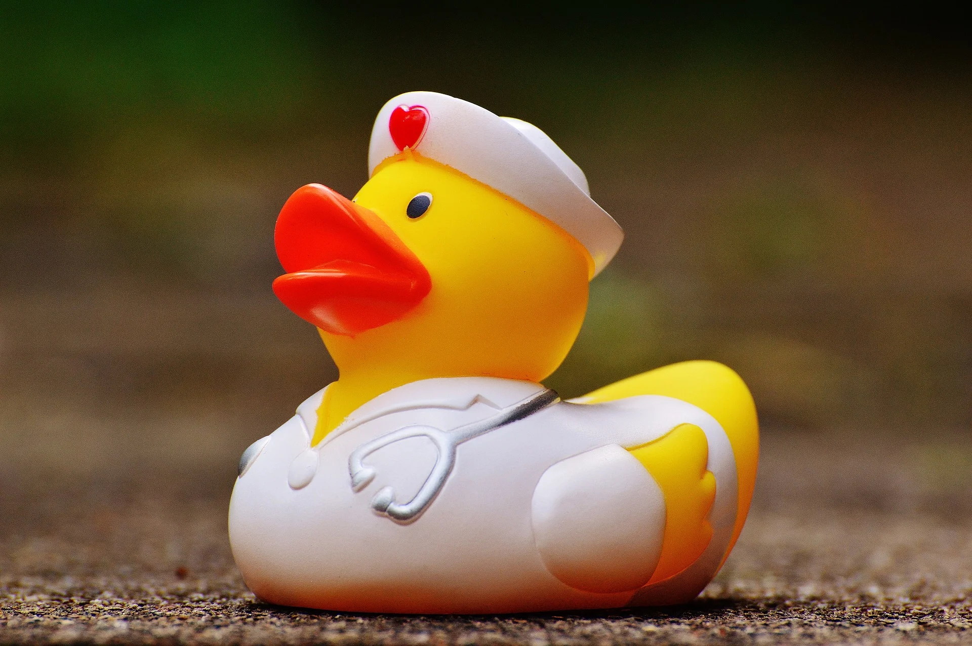 rubber-duck-1390639_1920.jpg