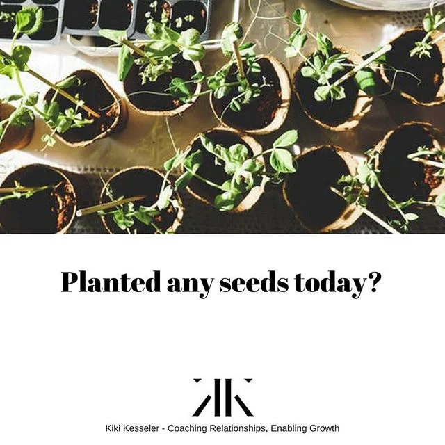 🌱 A big idea often starts with a small inspiration...something someone said to you, something you read or watched. When -and how- were you last inspired? #startingsmall #inspiration #truenature #dubaicoach