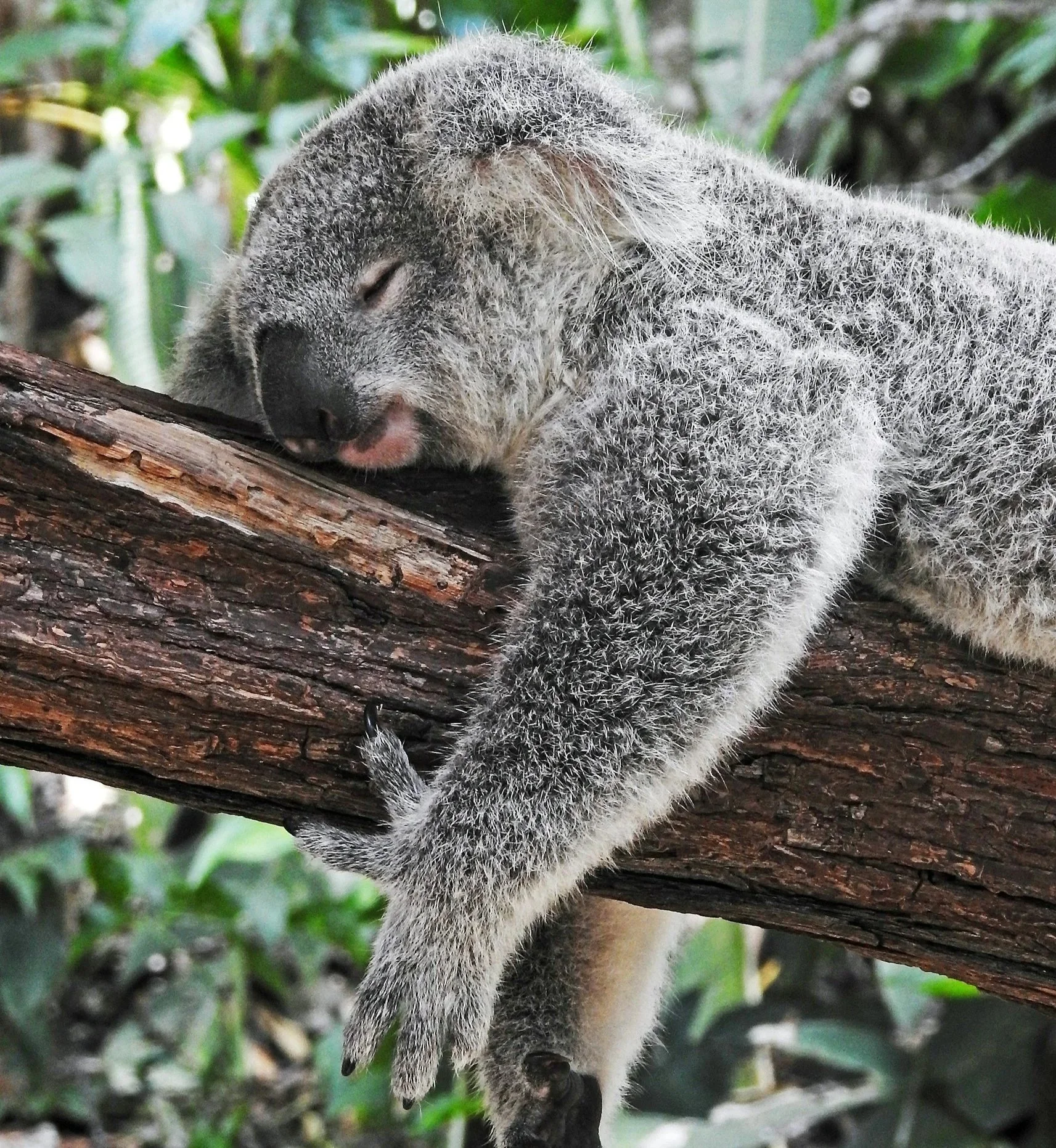 Support for Sound Sleep