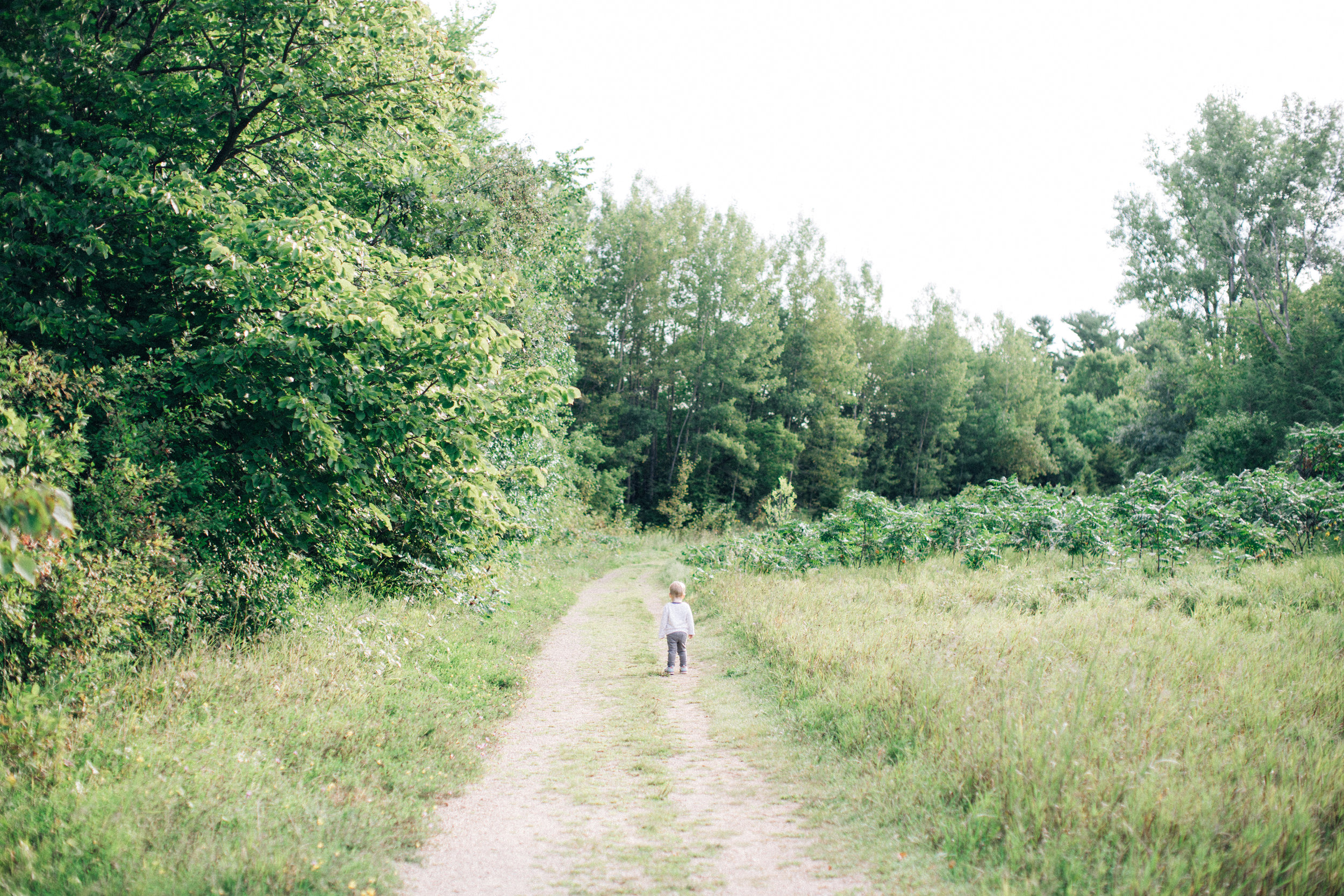 Minnesota Family Photographer