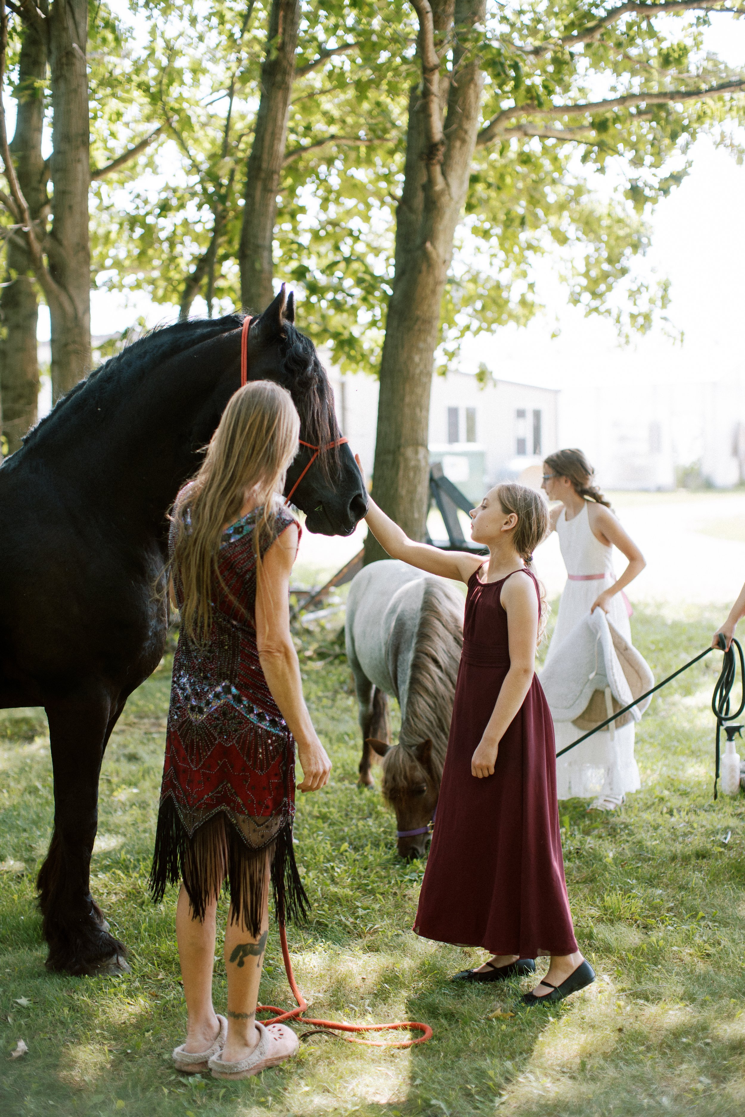 horses before wedding