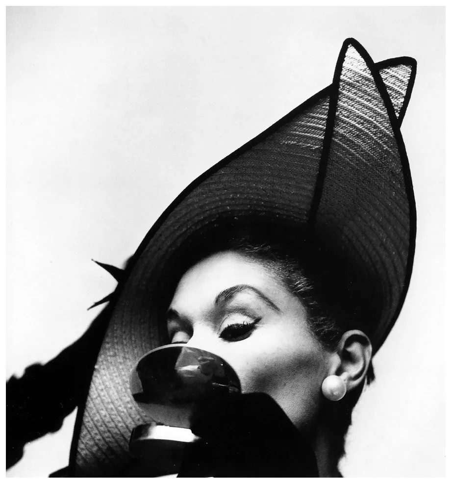lisa-fonssagrives-photo-by-irving-penn-new-york-1949