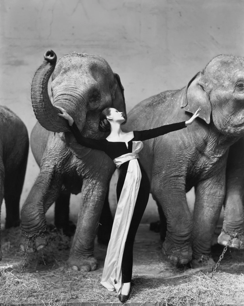 Dovima with Elephants, 1955 - Richard Avedon, from the Photography Book. Richard Avedon's 1955 photo took fashion out of the studio and sought to capture age as much as youthful beauty.