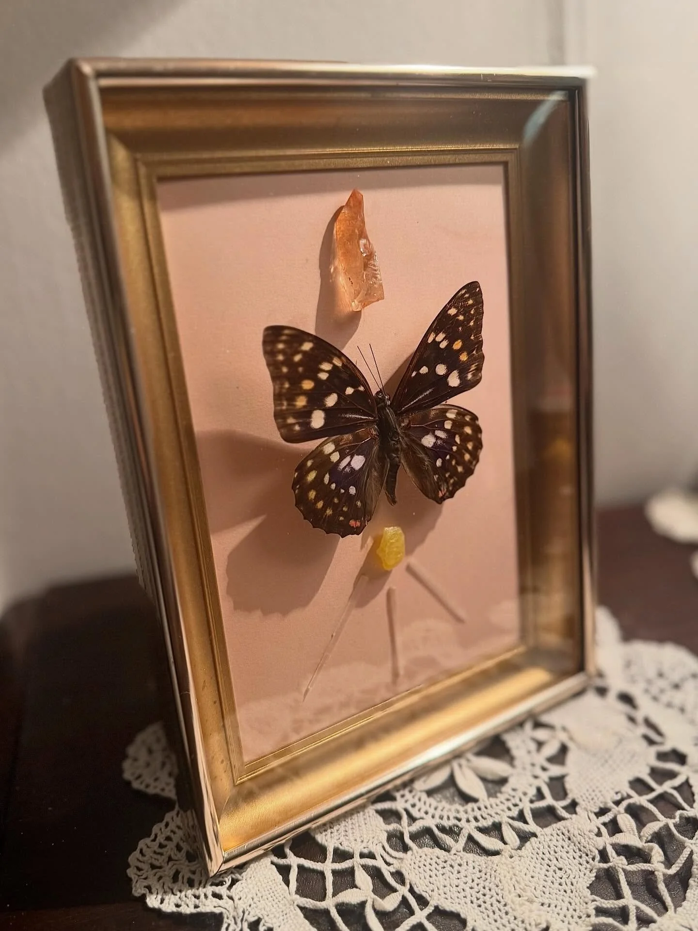 What a pretty profile you have.