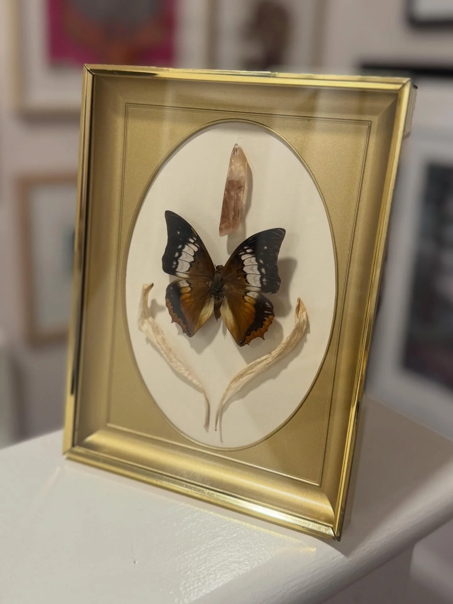 After I short break in January &amp; restocking vintage frames &amp; prints I had to make sure to break a couple items. 🤦🏼&zwj;♀️