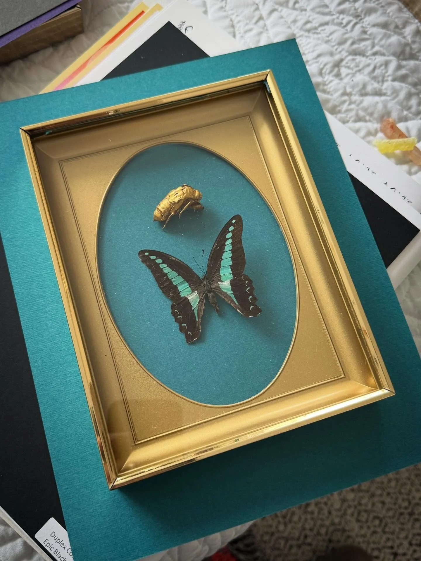 The best medicine in crazy times is always creativity. Today&rsquo;s distractions brought to you by nature &amp; colour.