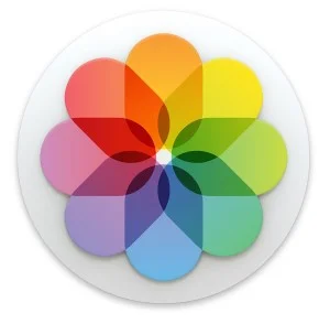 Smartphone Photo Organization