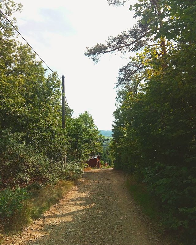 Again and again, the highest points led directly down the dirt track to a new valley along the Vltava.
#backpacking #outtherecz #getoutthere #hikecz #hiking #CzechRepublic