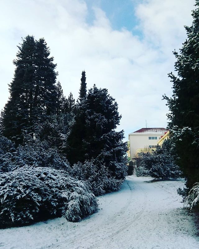 A perfect winter's morning in #Prague. This was taken at a biological/agricultural science facility in #Praha 6, one of my favorite places and groups to teach.
#CzechRepublic #cz #europe #snow #winterwonderland #december #wintermorning #treesinsnow