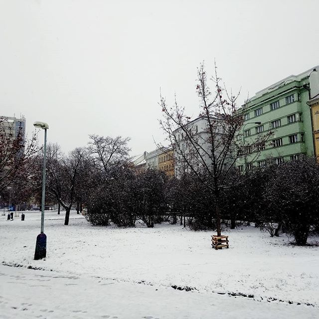 My city is more beautiful than yours. Hashtag sorry not sorry. This one also goes out to all the #Prague locals who, every year, without fail, tell me it never snows in the city. After three winters, I'm starting to think they just say that in order to avoid jinxing how breathtaking this perfect city is when blanketed in soft freshly fallen #snow.
#tram #streetcar #žižkov #praha #wintergram #winter #cz #czechia #christmastimeinthecity #christmastime #whitechristmas