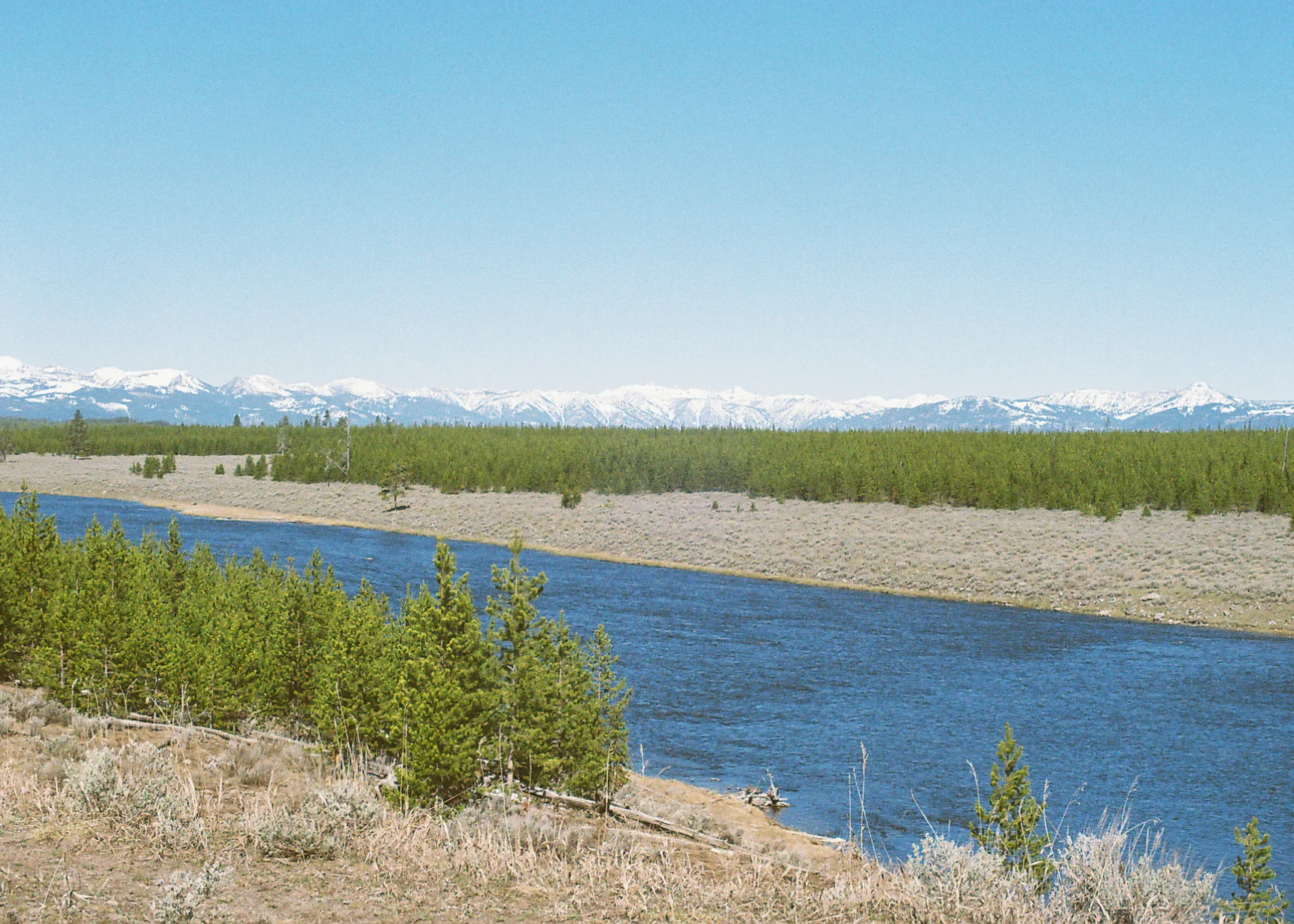 yellowstone.jpg