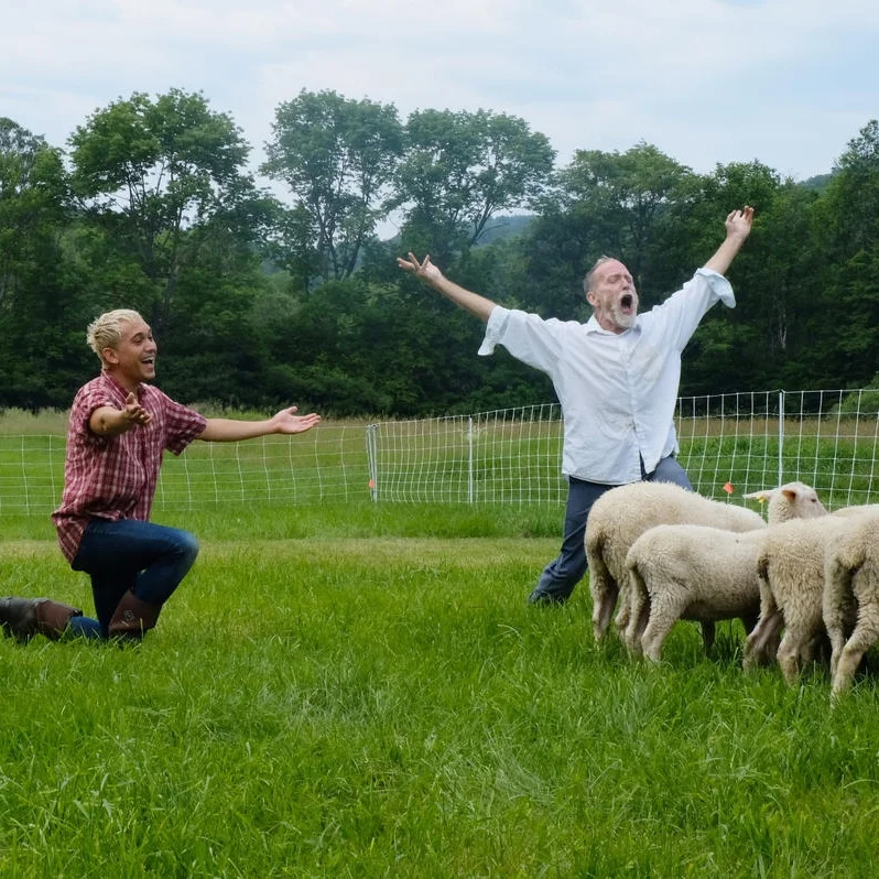 NHPR: At "Doggie Hamlet," The Play's The Thing (And So Are The Sheep) The scene is a fenced-in enclosure, tucked away in the hills in southeastern Vermont. Inside, choreographer Ann Carlson leads a rehearsal with four dancers, a flock of sheep and a border collie.