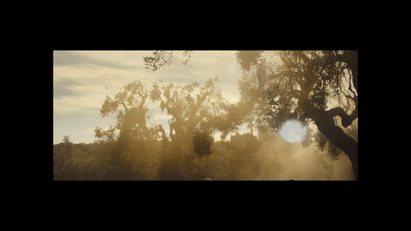 Dior Cruise Preview.gif