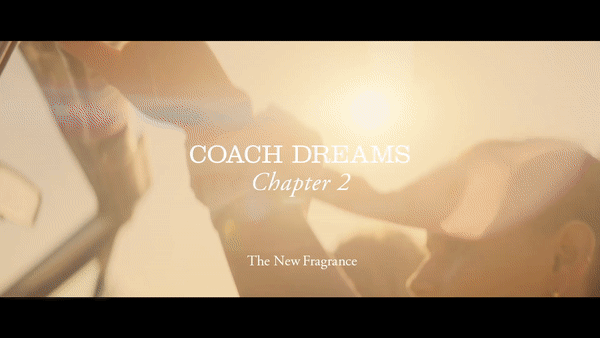 Coach dream sunset.gif