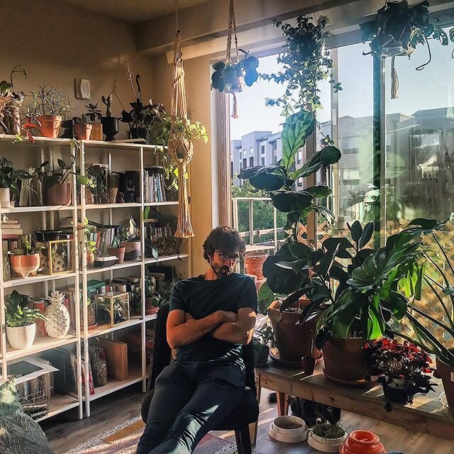 David&rsquo;s jungle. He reorganizado este tiny depa como 10 veces. No es broma. Entre libros, plantas y gatos no cabemos. .
.
.
.
.
.
.
#vsco #vscocam #vscogrid #vscophile #vscoplants #plantsofinstagram #plantstagram #houseplants #houseplantclub #ur