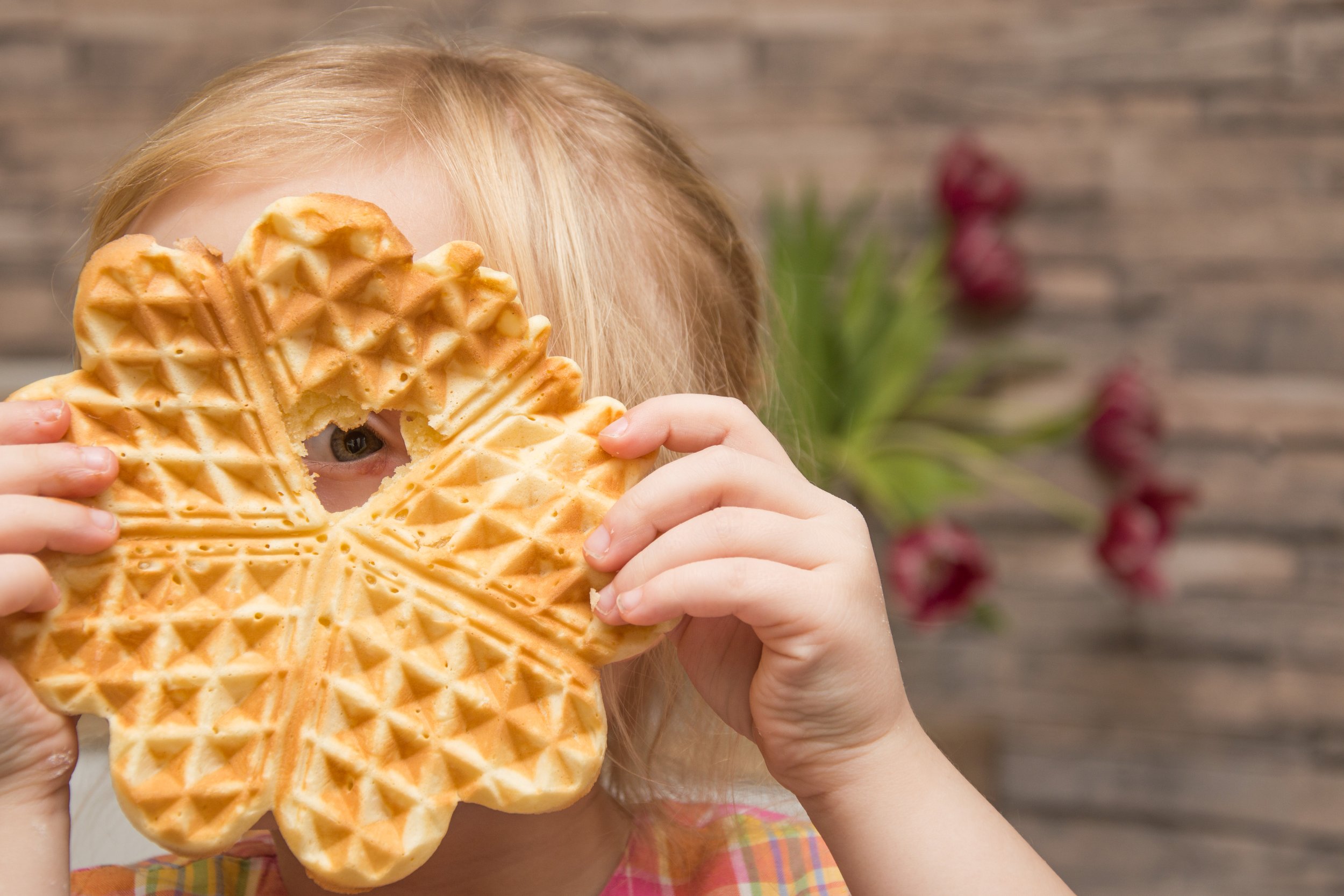 wills & waffles in The Woodlands