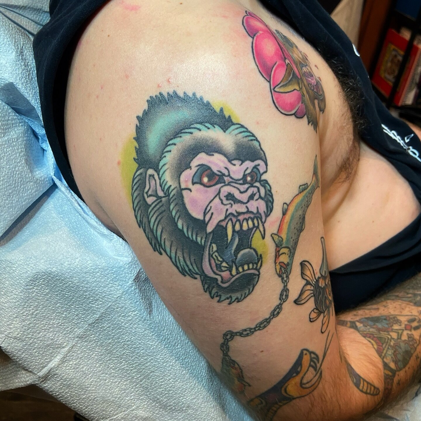 Healed and sealed gorilla from my flash done at the Asbury convention. 🦍
-
-
-
-
-
-
-
#neotraditional #traditionalish #gorilla #asburytattoofest2022 #doctattoos #shorelinetattoo #shoreline #shorelinetattooandpiercing #tuckerton #lbi #jerseyshore