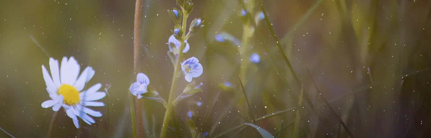 What We Do - Option 1.jpeg