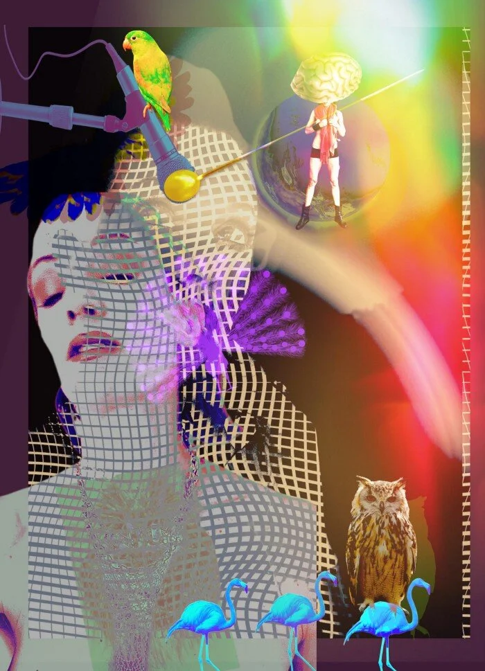 Dear Fellow Humans...