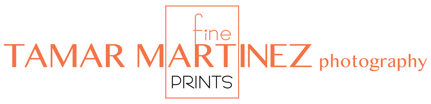 Fine Art Prints by Tamar Martinez