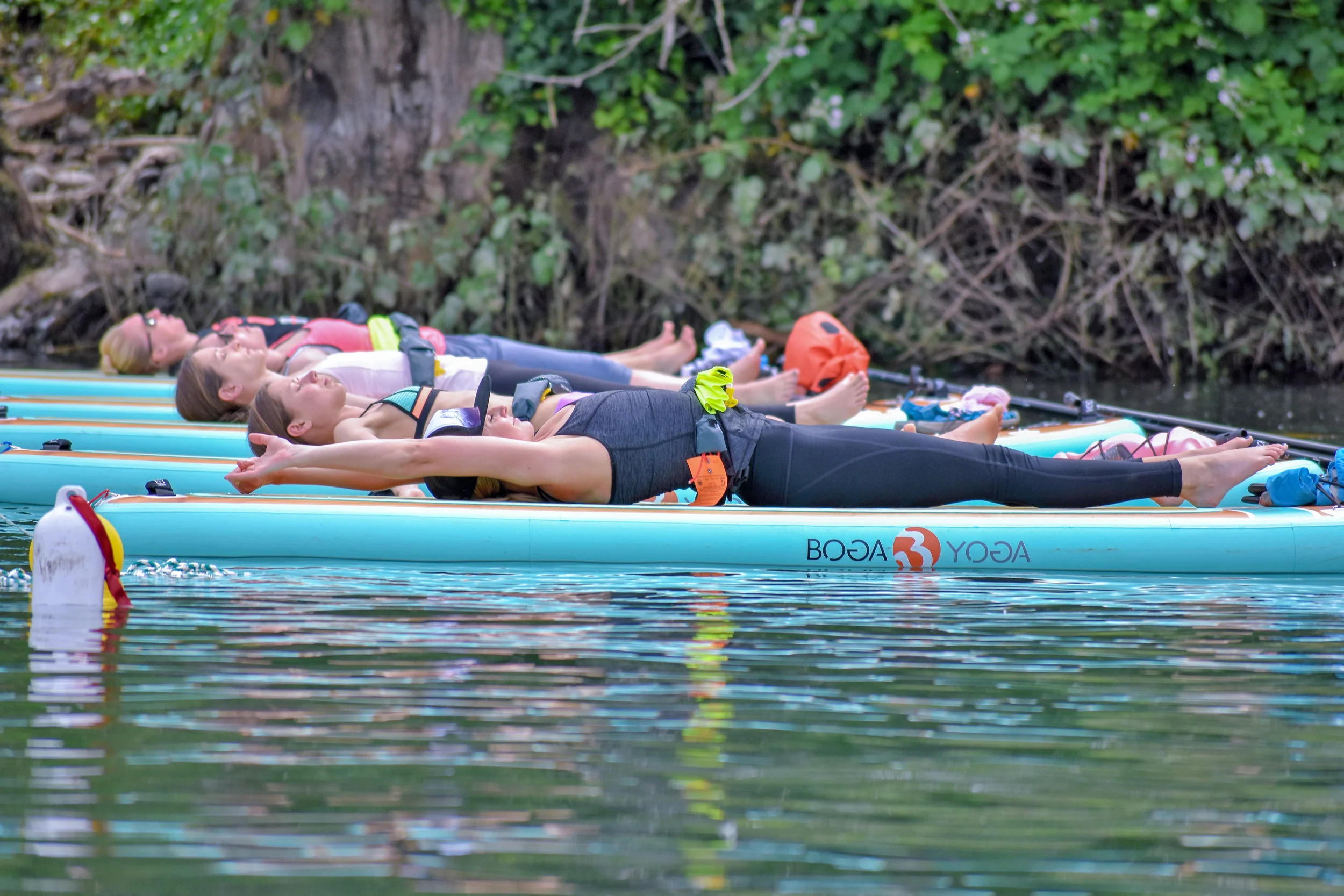 Boards with yogis.jpg
