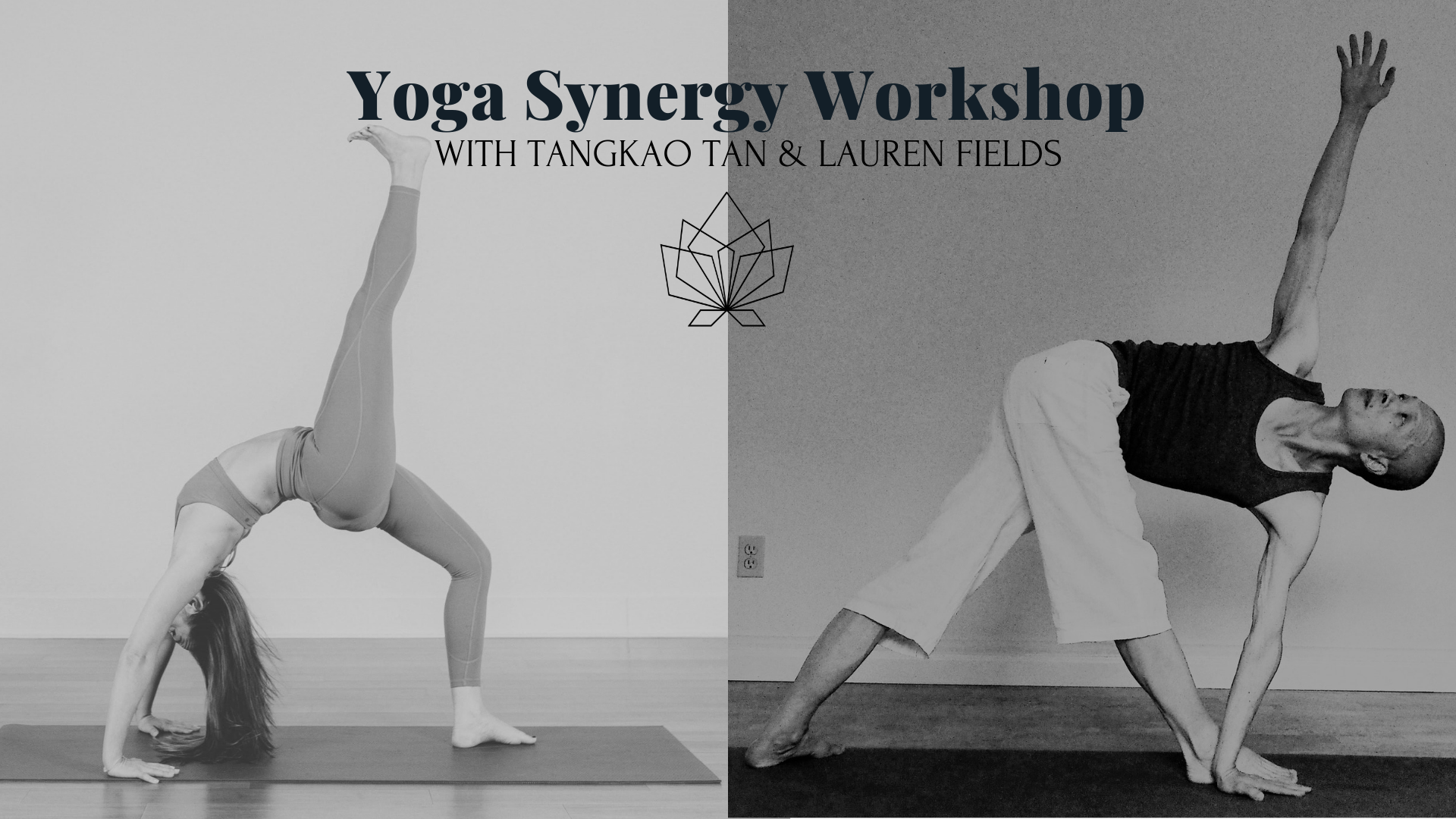 Yoga Synergy Workshop