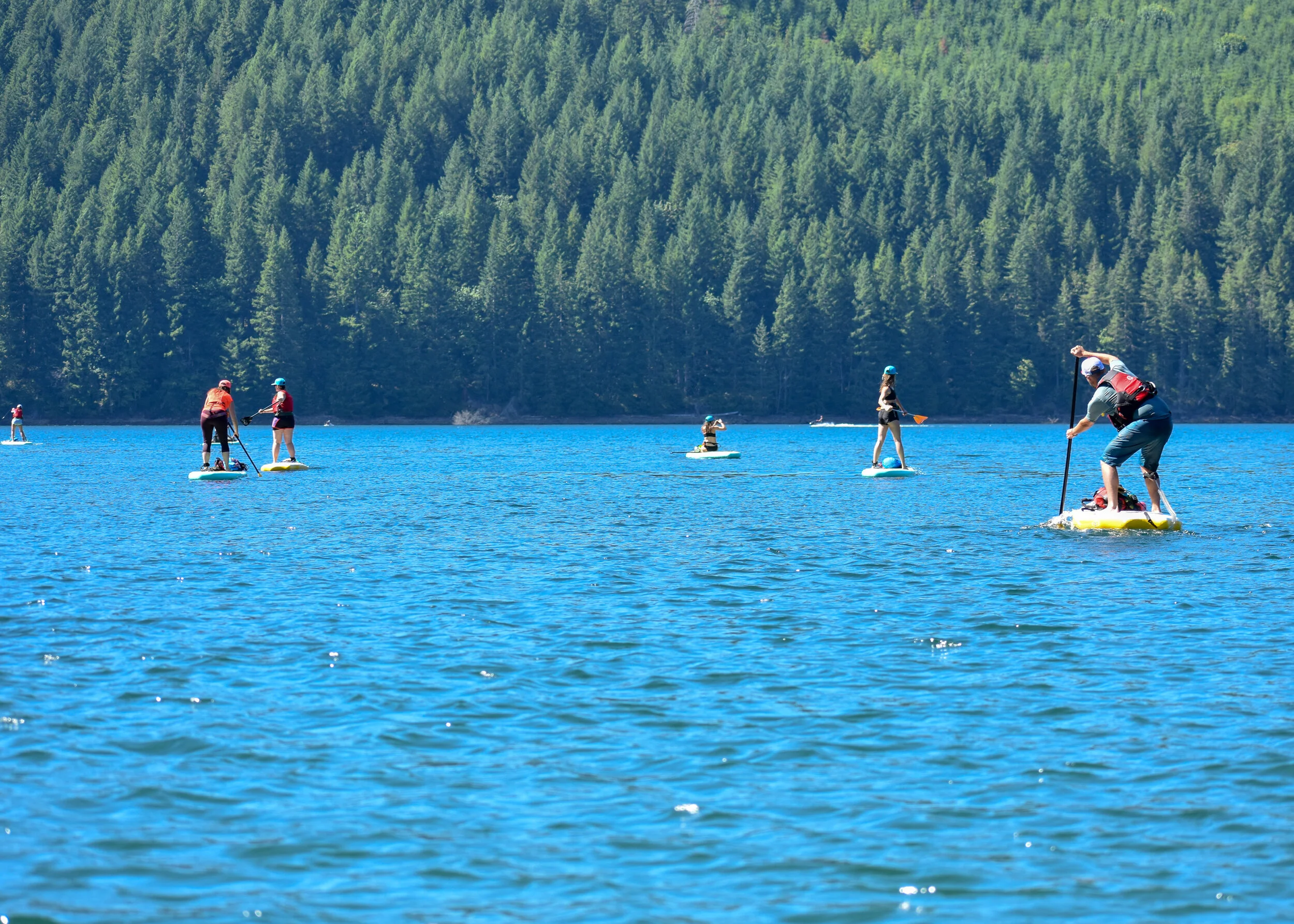 Group Paddling-2.jpg