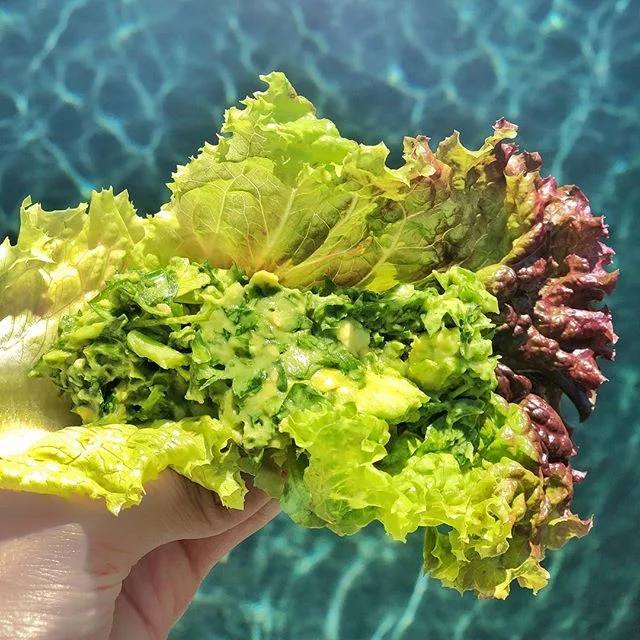 A perfect summer snack for this Holiday weekend! ☀️☀️☀️🌊🌊🌊 *
Integrate some leafy greens easily with this delicious homemade guacamole! 😋👩&zwj;🍳 You get all the goodies here; optimal protein from raw unsalted pumpkin seeds and sesame seeds, hea