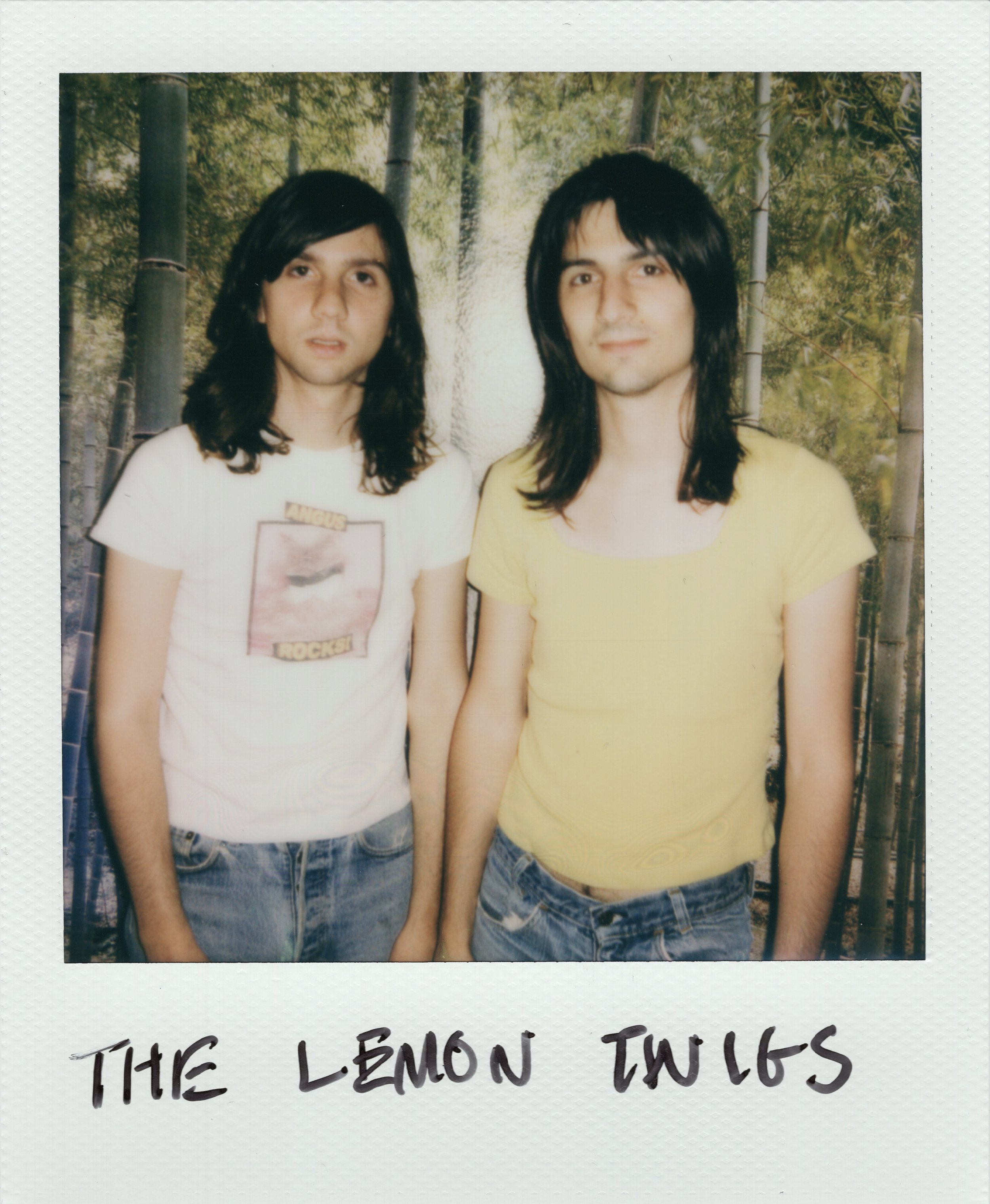 Album Producers: The Lemon Twigs 