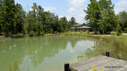Pond 