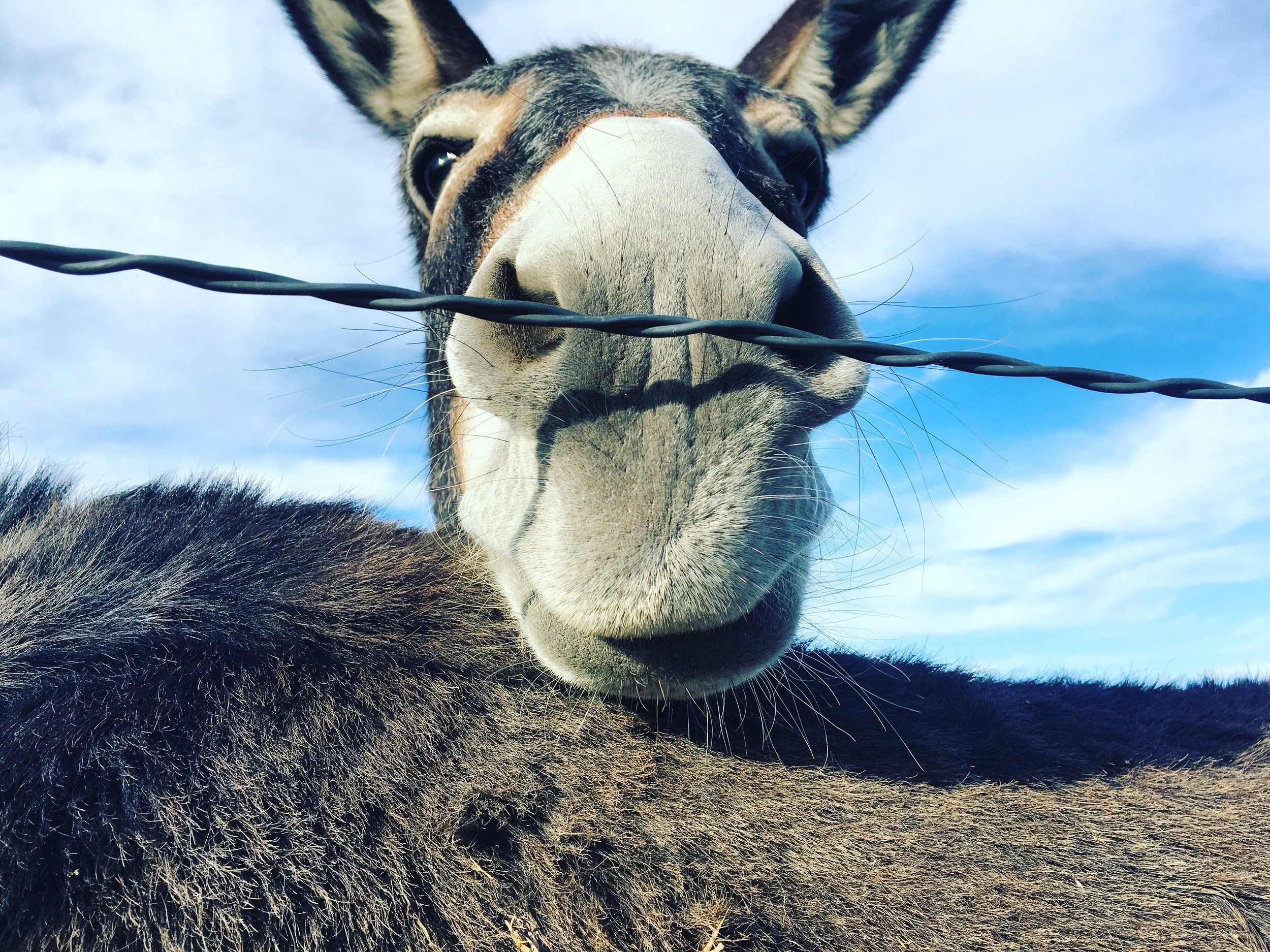 Join me on Instagram @thewildercoast