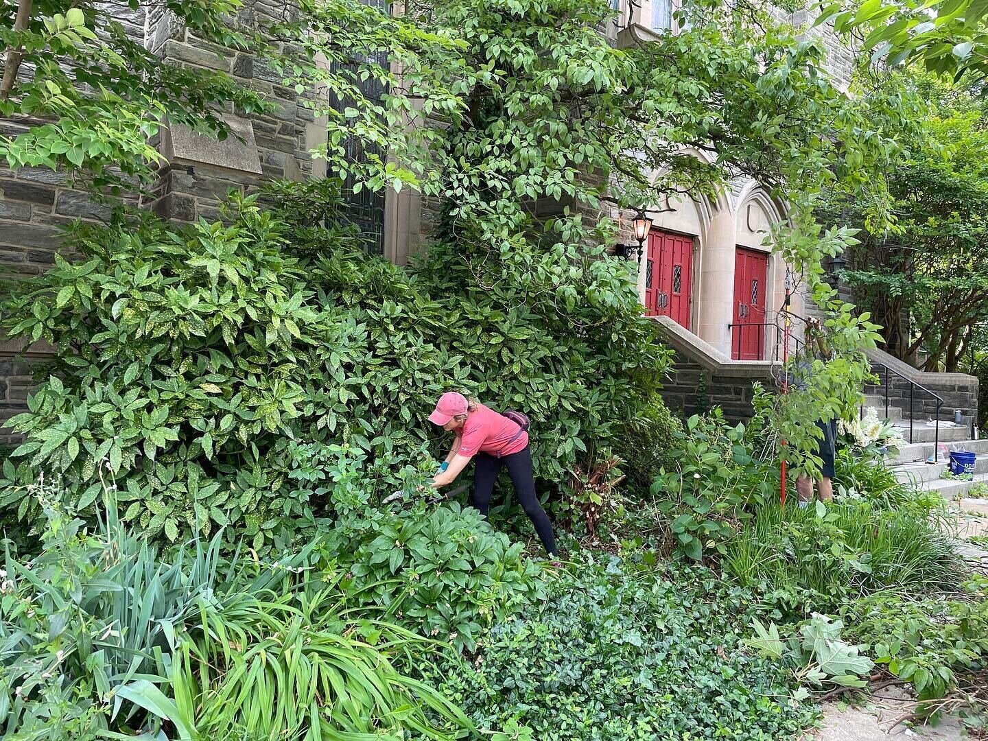 Woodland Building Workday