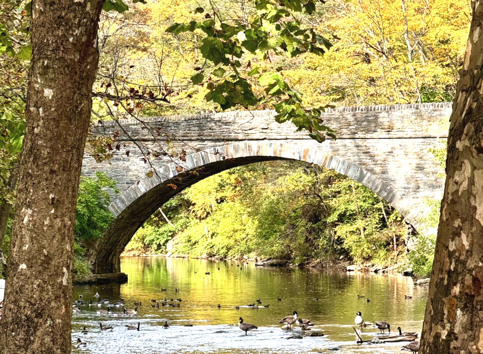 Wissahickon Walk