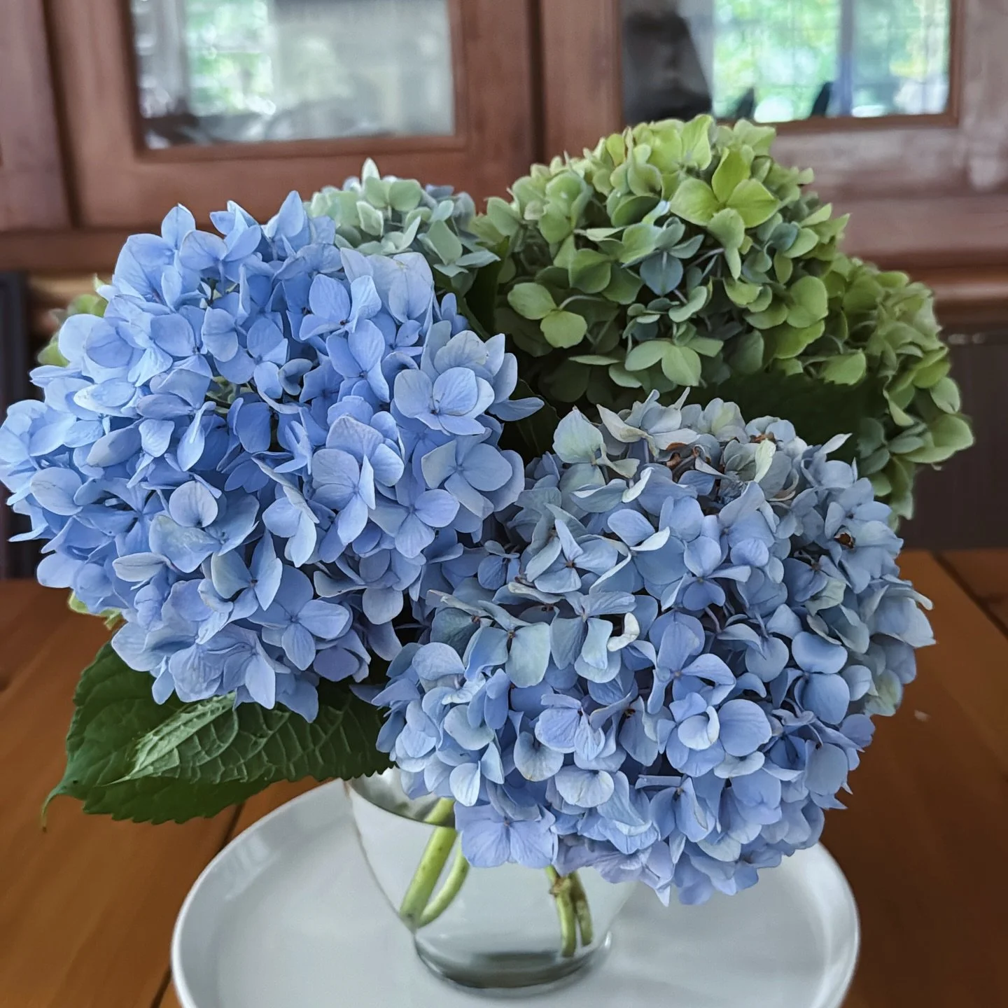 Enjoying the beauty of these flowers in full bloom&mdash;hello August 🌸✨

Let yourself enjoy new beginnings 
Let yourself plant new seeds of inspiration 

happy WEEKEND 🌿