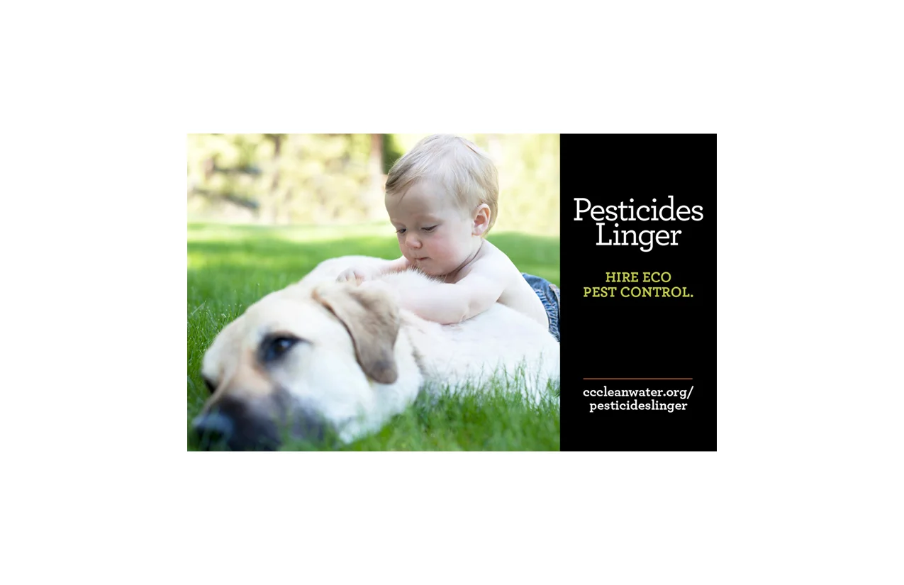 psa and direct mail6.jpg