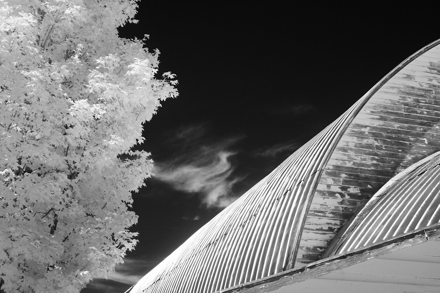 Cloud, Tree and Barn, Hamilton, New York