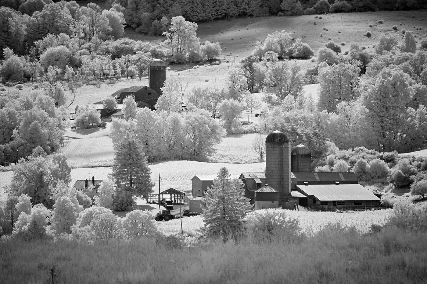 Farm in Morning, Hamilton, New York