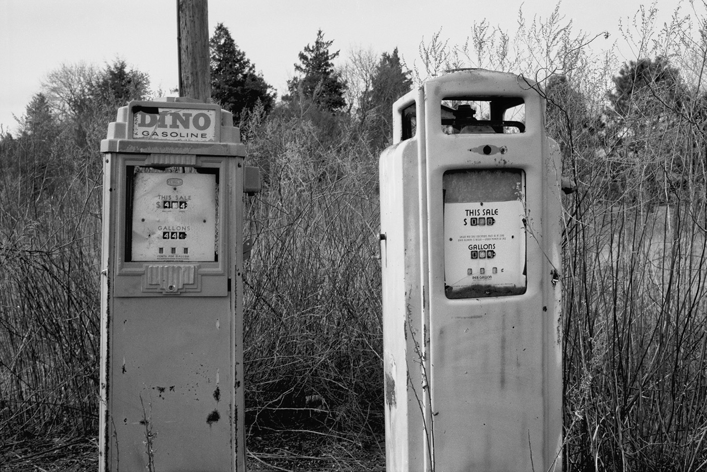 Dino Gasoline Pumps, New Jersey