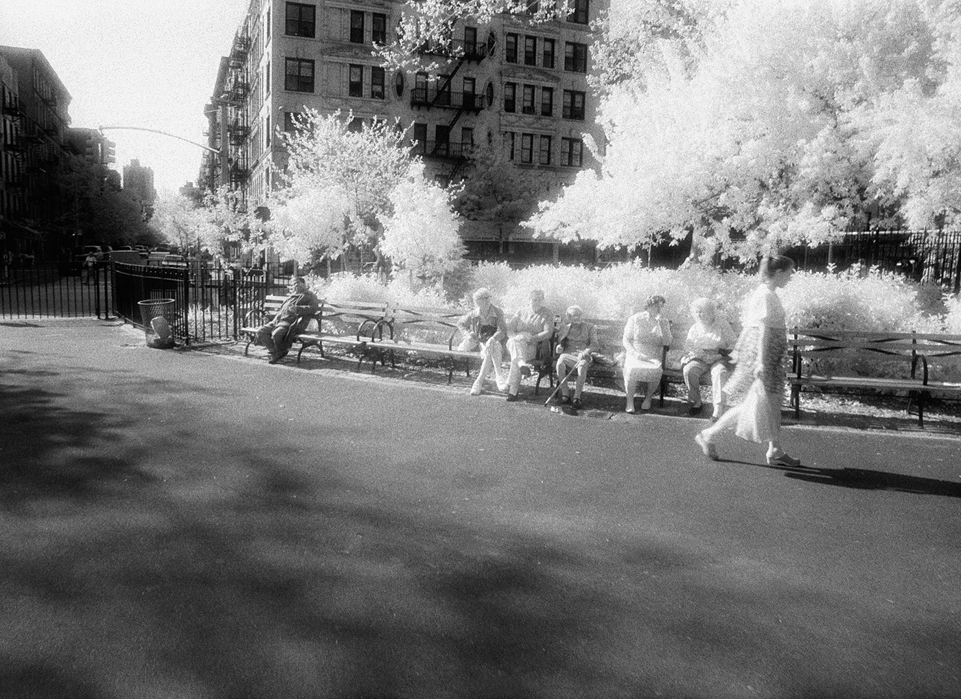 Young & Old. Tompkins Square Park, New York City, NY